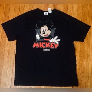 Disneyland Graphic Tee Good Condition Size 2X